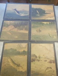 Fotos de peces de caza Lynn Bogue de colección - impresiones de pescadores - fotos fotografías - Imagen 1 de 12