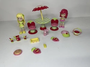Strawberry Shortcake Picnic in The Petals, Hasbro 2008 - Picture 1 of 7