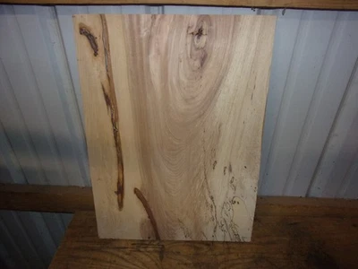 TÁBUA SECA PARA FORNO DE MADEIRA DE NOGUEIRA RÚSTICA 21 3/8"X15 1/2"X 1" F143F - Imagem 1 de 4