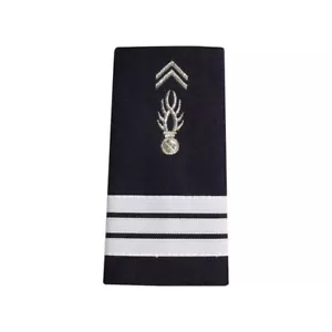 PAIRE DE FOURREAUX D'EPAULES CAPITAINE GENDARMERIE NATIONALE DEPARTEMENTALE NEUF - Picture 1 of 1