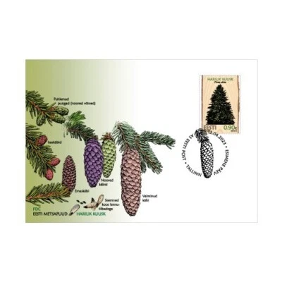 First day cover (FDC) of ESTONIA 2023 - Estonian Forest Trees – European spruce - Image 1 of 3