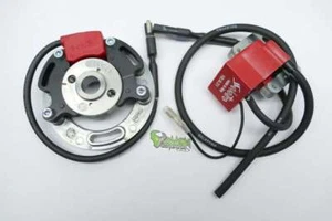 Kreidler Zündung Selettra KZ komplett Dmon 00131282 Flory Florett Mofarennen PVL - Bild 1 von 1