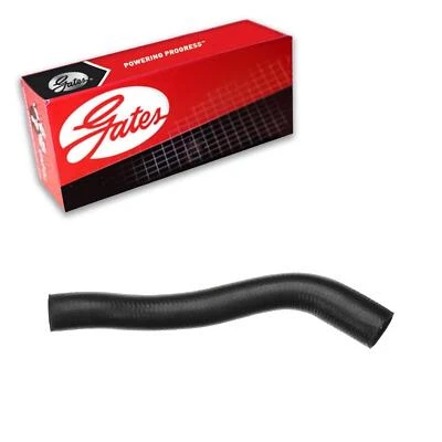 Manguera de refrigerante de radiador Gates superior para Dodge Caravan 1996-2000 Foto 1 de 3