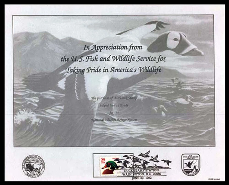 Federal duck stamp souvenir card, RW59 — Card 52 First day cancel - Image 1 of 1