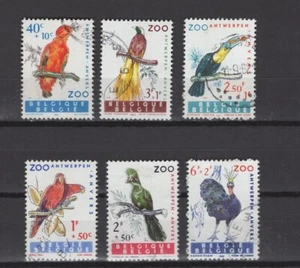 BÉLGICA 1962 aves finas usadas - Imagen 1 de 1