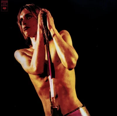 The Stooges ‎- Raw Power 2 x LP - Vinyl Album - REMASTERED NEW RECORD - Iggy Pop - Image 1 of 3