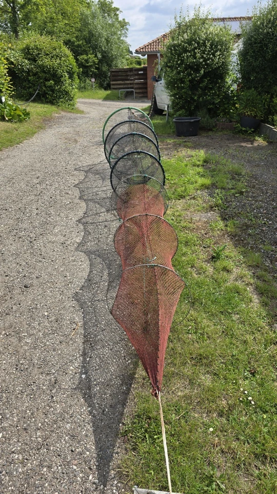 Reuse mit Leitnetz - Bild 1 von 4