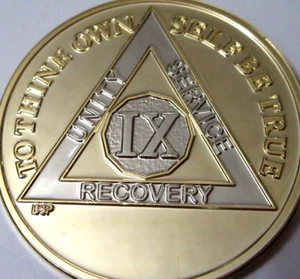 Gold Bi Plated Alcoholics Anonymous AA 9 Year Medallion Coin Chip Token Sober - Picture 1 of 7