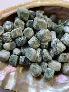 3X Tree Agate Tumbled Stones 20-25mm Reiki Healing Crystals Meditation Prayer - Picture 1 of 4