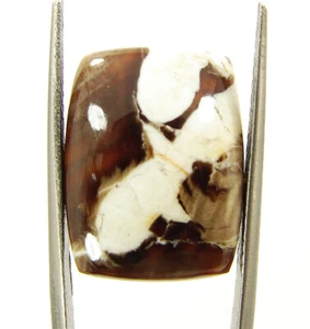 13.10 Ct Natural Peanut Wood Jasper Loose Gemstone Cabochon Wire Wrap - 60710 - Picture 1 of 5