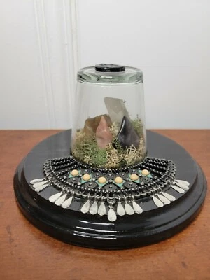 Террариум искусство ручной работы с кристаллами камни мох на дереве с металлом и смолой 4 x 7  - Изображение 1 из 4