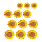 12x Sonnenblumen Stickpatches DIY Applikation zum Aufnähen, gelb
