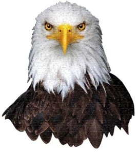 Jigsaw Puzzle Animal Bird Eagle Freeform shaped 300 piece NEW 18" x 20" - Picture 1 of 1