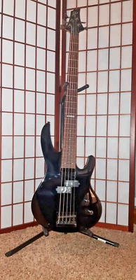 ESP LTD B-15 5-string Electric Bass + Gig Bag - Image 1 of 4