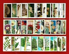 3 x TRADE CARD SETS - CACTI, WILD ANIMALS & TREES - LAMBERTS HORNIMANS BB (TP01)