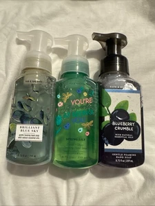 Bath and Body Works Hand Soaps - Picture 1 of 59