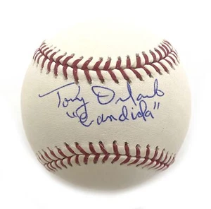 Tony Orlando Iconic Singer "Candida" Autographed Inscrip. Baseball - Picture 1 of 2