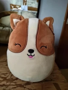 Squishmallows Regina Corgi Hund braun creme weiches Plüschtier 7,5 Zoll - Bild 1 von 5