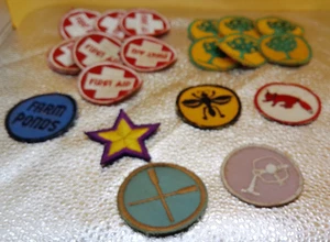 Scout KY Junior Conservation Club Merit Lot 19 Vintage Patches - Bild 1 von 6