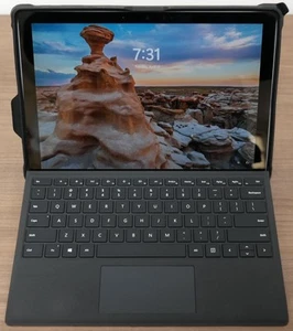 Surface Pro 7 Plus i7-1165G7 2.80GHz 16GB RAM 512GB SSD 12.3in Touch READ PLEASE - Picture 1 of 12