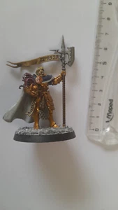 Warhammer Stormbringer Age of Sigmar bemalter Prime Praetor - EXKLUSIV - Bild 1 von 13