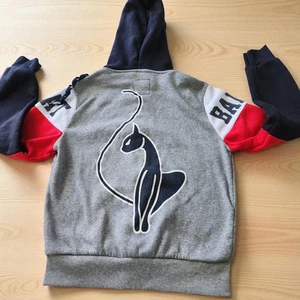 De Colección Bebé Phat Y2K Gato Gráfico Sudadera con Capucha Chaqueta Gris Cremallera Adolescente Grande Mujeres Talla Pequeña - Imagen 1 de 17