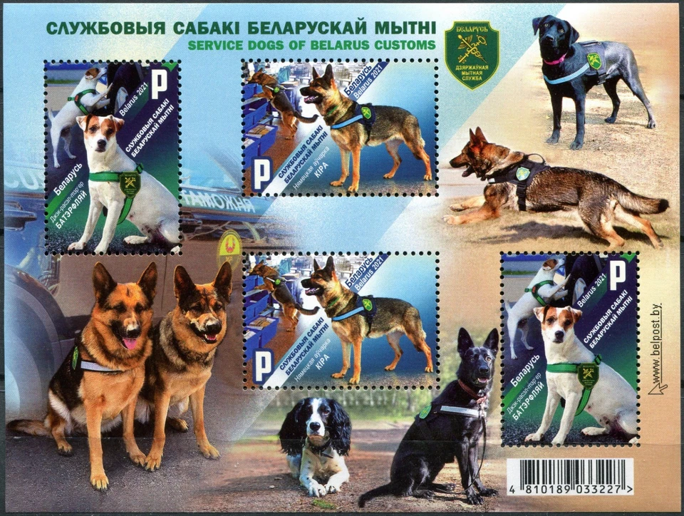白俄罗斯 2021。 白俄罗斯海关服务犬(全新邮票)纪念品 — 第 1/1 张图片