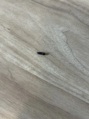 Rifle SAKO Modelo L-461 Vixen, Tornillo de bloqueo de pasador de disparo, OR-112 Foto 1 de 2