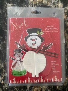 Magic Snowman Grow Your Own In 1 Day Craft Kit Christmas Eve / Elf Crafts - Picture 1 of 2