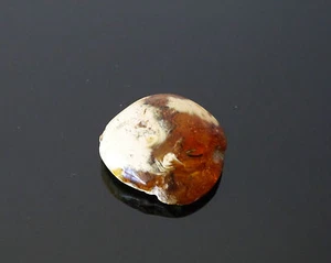 Butterscotch Vintage Ambra Baltica pezzo unico 11 g molto raro - Foto 1 di 10