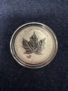 2002 Canada Silver Maple Leaf  - Horse Privy - Case & COA  A5 - Picture 1 of 3