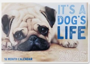 Dogs Puppy 2025 Wall Calendar 16 Months Calendar print - Picture 1 of 2
