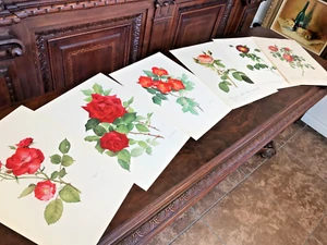 Vintage SPECIMEN BOTANICAL ROSE PRINTS ~ 3 by Johanna PRINS, 3 by REMOND France - Picture 1 of 12