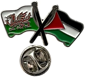Wales and Palestine Flag Friendship Lapel Pin badge Gift Idea Free UK P&P - Picture 1 of 4