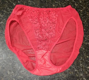 Panty De Colección WARNERS SHEER HEAVEN Rojo Corte Alto Floral Encaje Espalda Transparente Nylon Talla Grande - Imagen 1 de 4