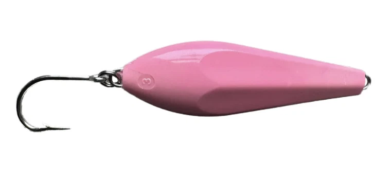 Bombardero Fish R.I. Breachway Foto 1 de 1