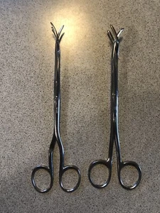 2 Sterilisierzangen - Bild 1 von 2