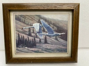 Christopher Forrest Wood Framed Print  Swans in Flight 8"x10" - Picture 1 of 2