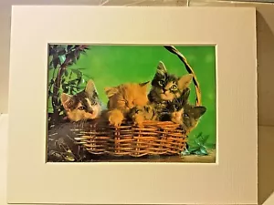 Portal Publications 1988 Four In A Basket Richard Stacks Lithograph CP033 22 - Picture 1 of 4