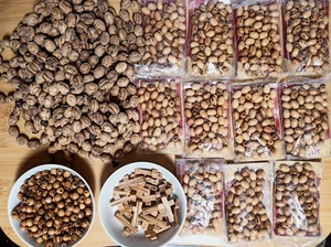 Lot of Olive Wood Beads - round, oval, cross, carved - 8-16mm - Photo 1/7