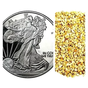 1 TROY OZ .999 FINE SILVER WALKING LIBERTY +10 PIECE ALASKAN PURE GOLD NUGGETS - Picture 1 of 7