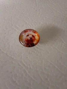 Süßer Yorkie - Passend für ChunkGingerNoosa Snap Armbänder. Kostenloser Versand - Bild 1 von 1