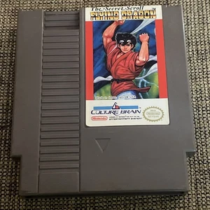 Flying Dragon: The Secret Scroll (Nintendo Entertainment System, 1989) getestet - Bild 1 von 4
