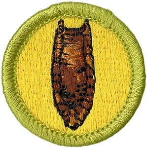 BSA ARCHAEOLOGY MERIT BADGE CURRENT MINT NWT TYPE L SINCE 1910 BACK - Picture 1 of 3