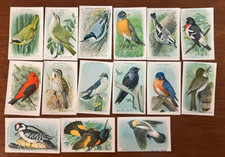 Useful Birds of America, Ninth Series, Church & Dwight Co