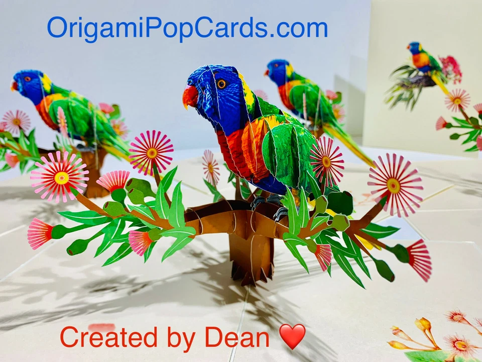 ORIGAMI POP CARDS Aussie Rainbow Lorikeet Bird Lover 3D Pop Up Greeting Card Birthday Thank You