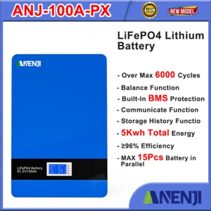 Batteria 5kWh 51,2 V 100 Ah LiFePO4 Batteria da parete BMS Accumulo solare - Foto 1 di 6