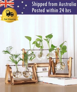 Hydroponics Plant Bonsai Flower Glass and Wood Table Vase Planter Terrarium Pot - Picture 1 of 20