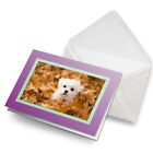 Greeting Card Photo Insert Cute West Highland Terrier Dog Westie