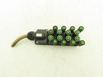 Murr Elektronik MVP12 Junction Box M12 Plug Connection With 7000-41131 Splitters - Image 1 of 4